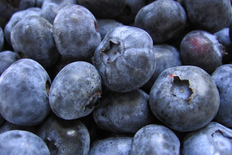 Blueberries - they'll brighten up a muffin, but not your smile